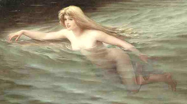 Scylla venit. 