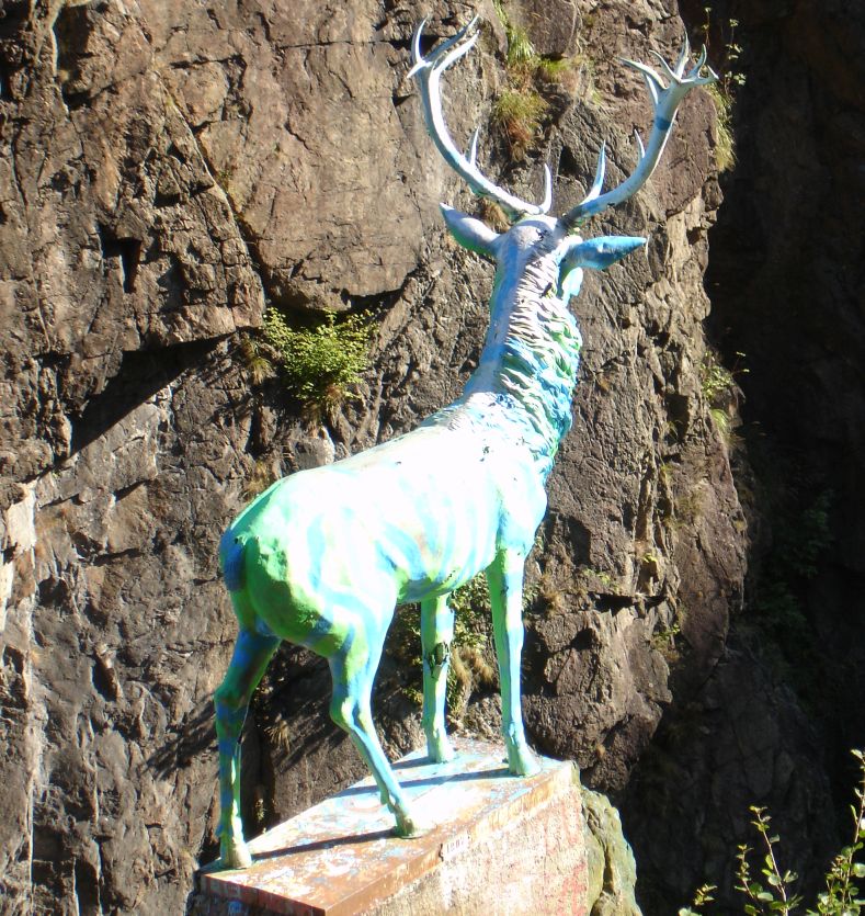  namque sacer nymphis Carthaea tenentibus arva ingens cervus erat 