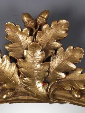 aurea fingens omnia.