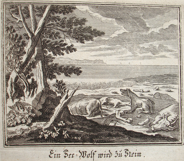 Thetis lupum marmore mutavit 