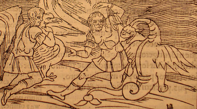 variatis saepe figuris 