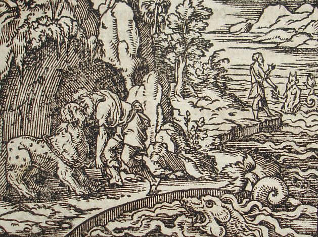 tertia forma fuit maculosae tigridis 