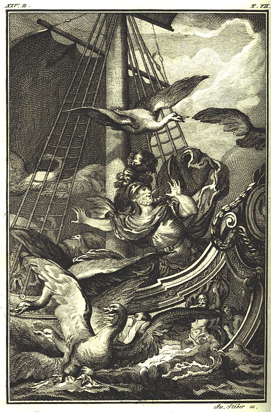  remos plausis circumvolat alis.