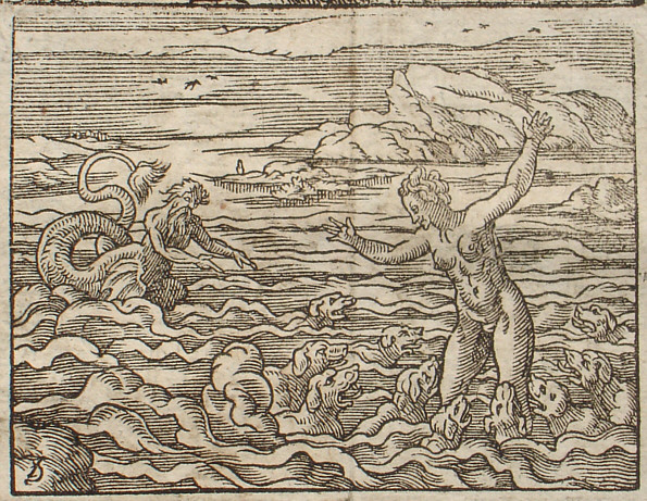 sua foedari latrantibus inguina monstris adspicit.