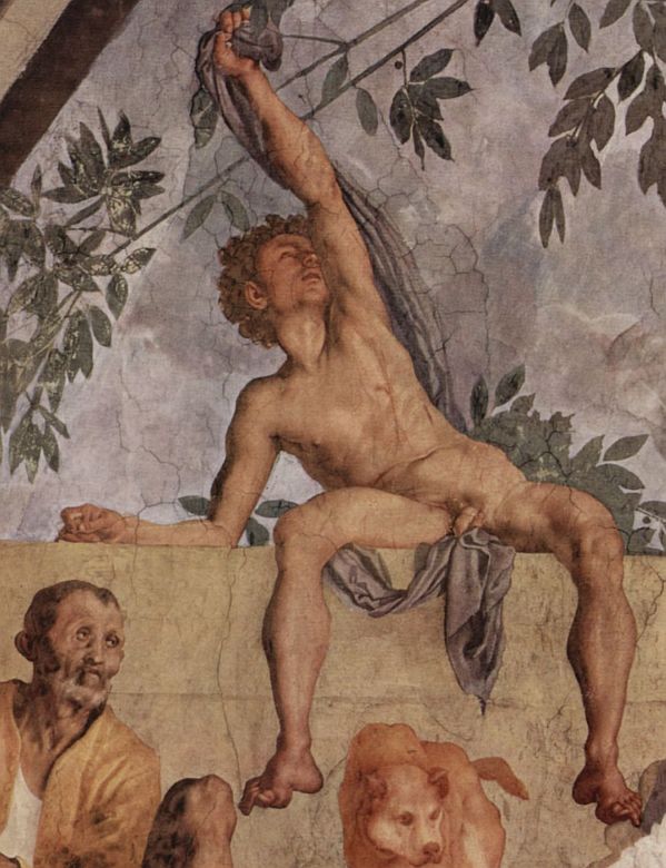 lecturum poma putares 