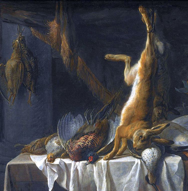 aves - lepus - piscis 