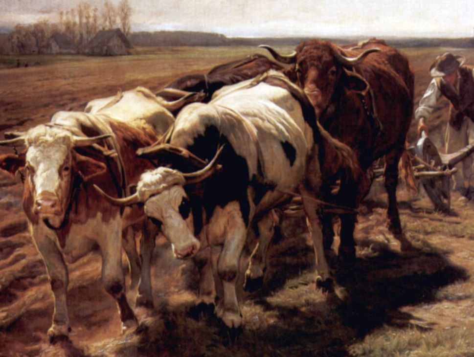 mandere vos vestros scite et sentite colonos.