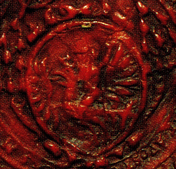  Assyrii phoenica vocant. 