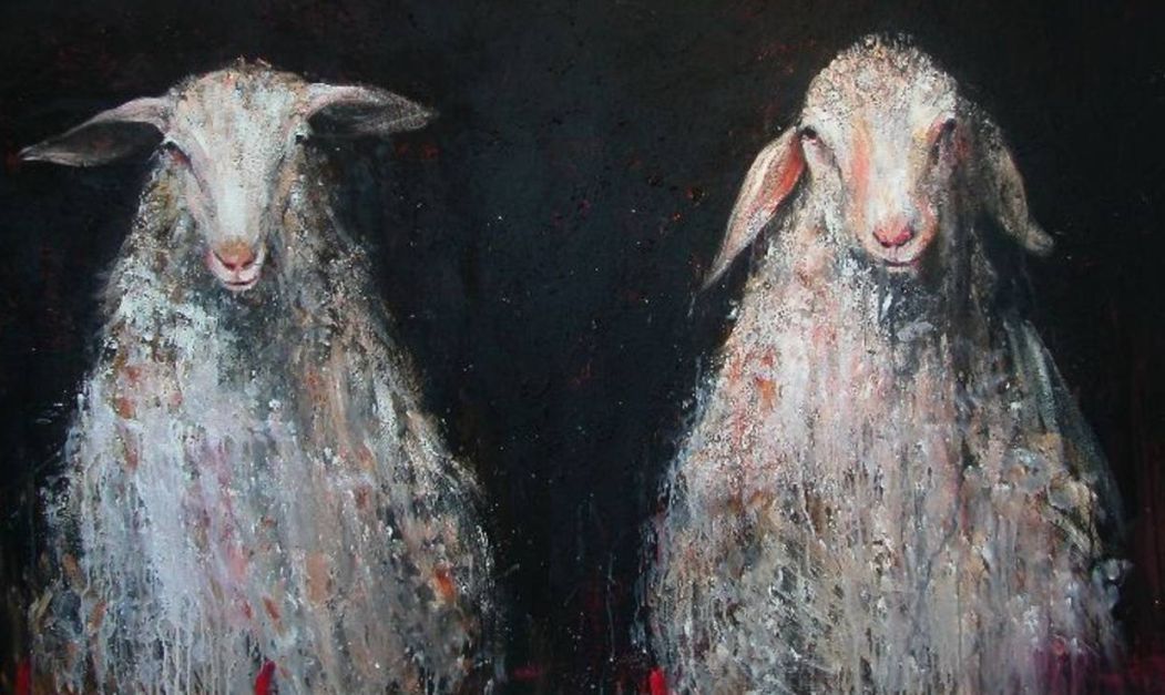 parcite, vaticinor, cognatas 