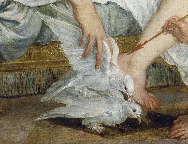  Cythereiadasque columbas 