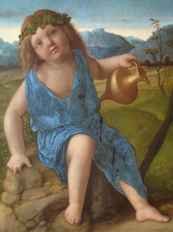 tuta incunabula Bacchi