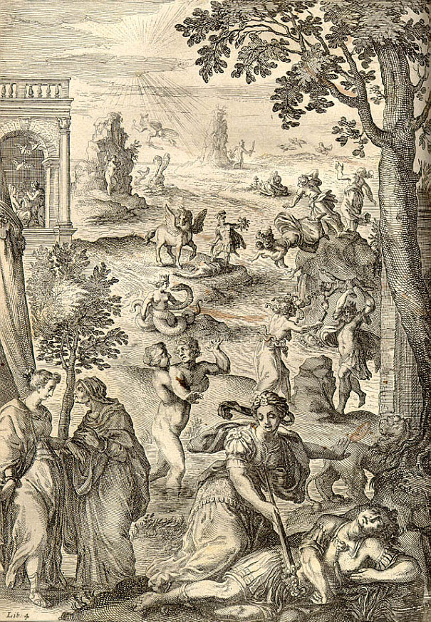 metamorphoses variae