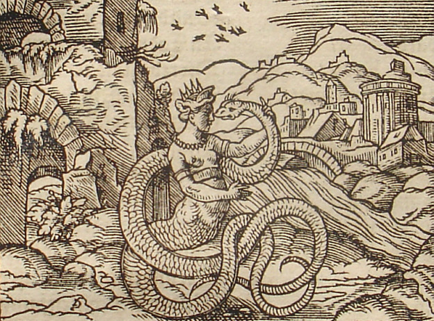 iunctoque volumine serpunt.