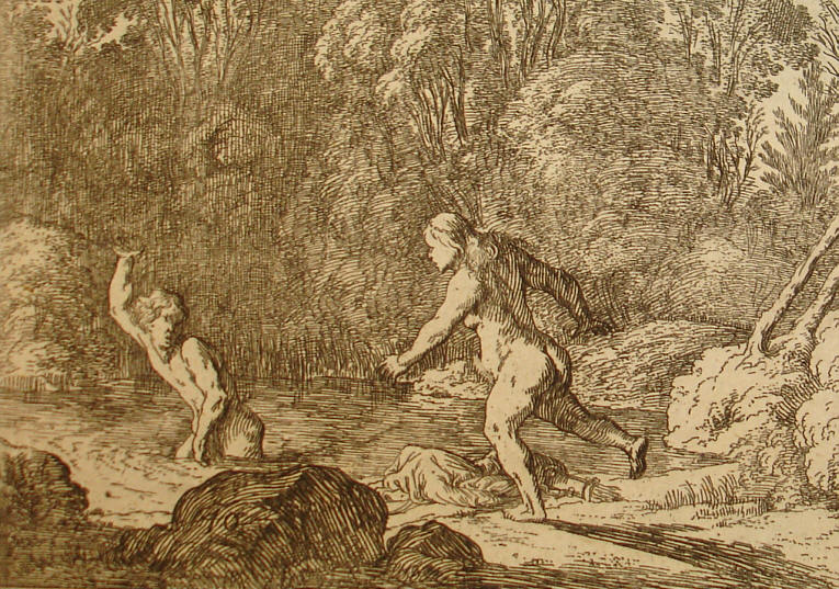 nudaeque cupidine formae Salmacis exarsit.