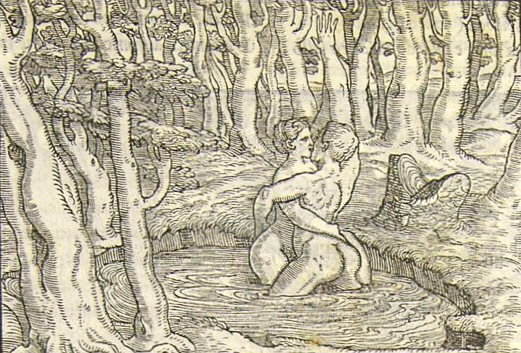 utve solent hederae longos intexere truncos utque sub aequoribus deprensum polypus hostem continet