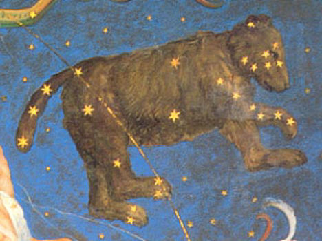 ter gelidas Arctos