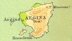 Aegina antiqua 