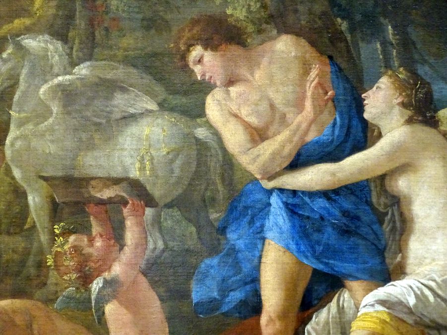  Procrin non habuisse voles.