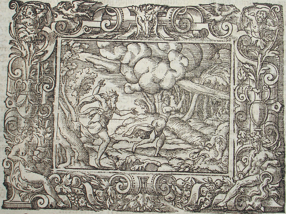 Ovid: Virgil Solis, Edition 1581, imago I.,15; Repro: Hans-Jrgen Gnther
