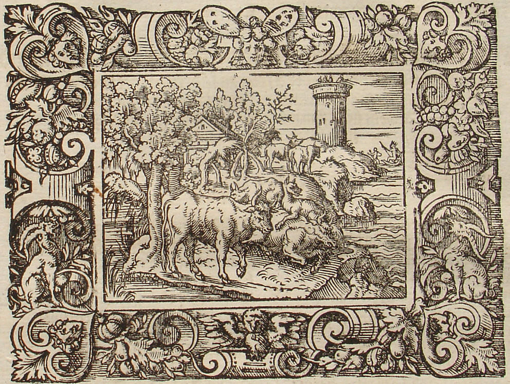 Ovid: Virgil Solis, Edition 1581, imago XI.,8; Repro: Hans-J�rgen G�nther