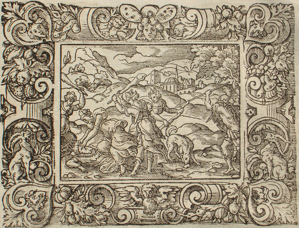 Ovid: Virgil Solis, Edition 1581, imago XIII.,8; Repro: Hans-Jrgen Gnther