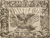 Ovidius: Virgil Solis, XV.3: Phoenix ales