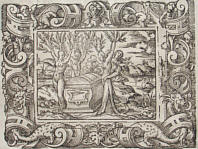 Ovidius: Virgil Solis, II.4: Heliades lugentes, Cygnus
