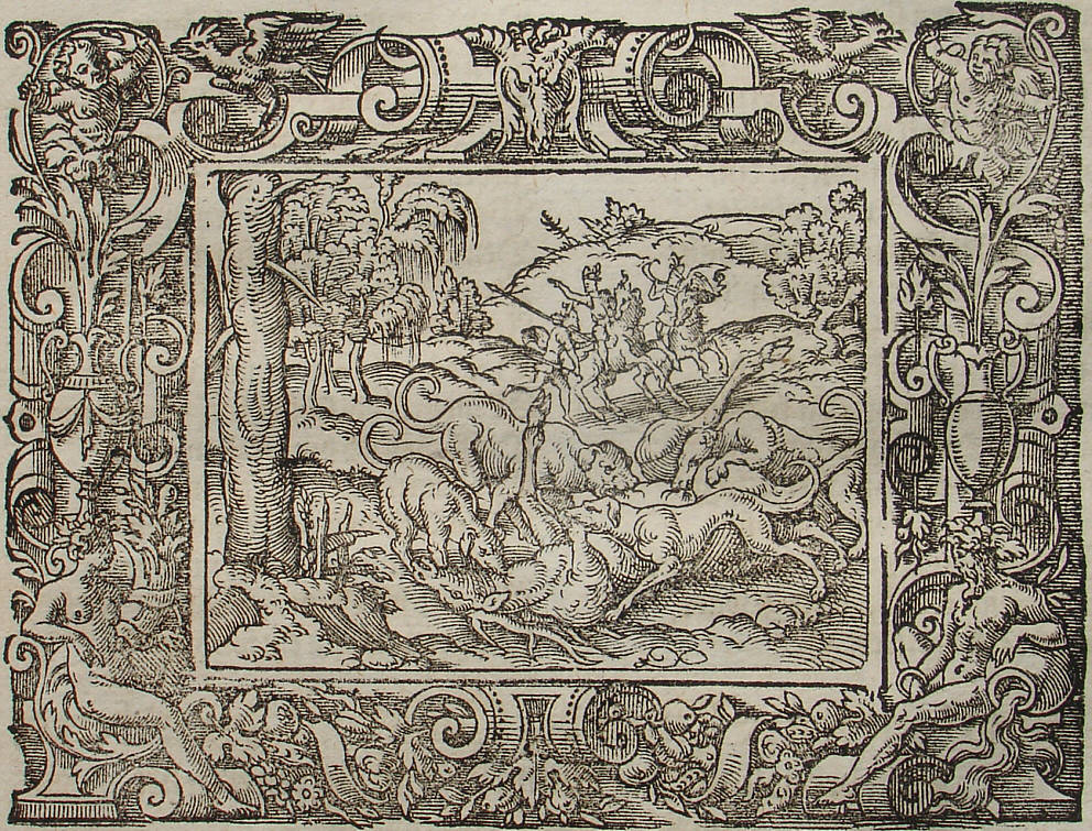 Ovid: Virgil Solis, Edition 1581, imago III.,5; Repro: Hans-J�rgen G�nther