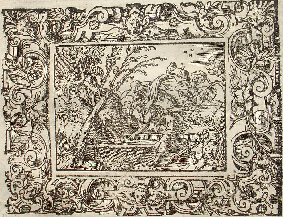 Ovid: Virgil Solis, Edition 1581, imago III.,7; Repro: Hans-J�rgen G�nther