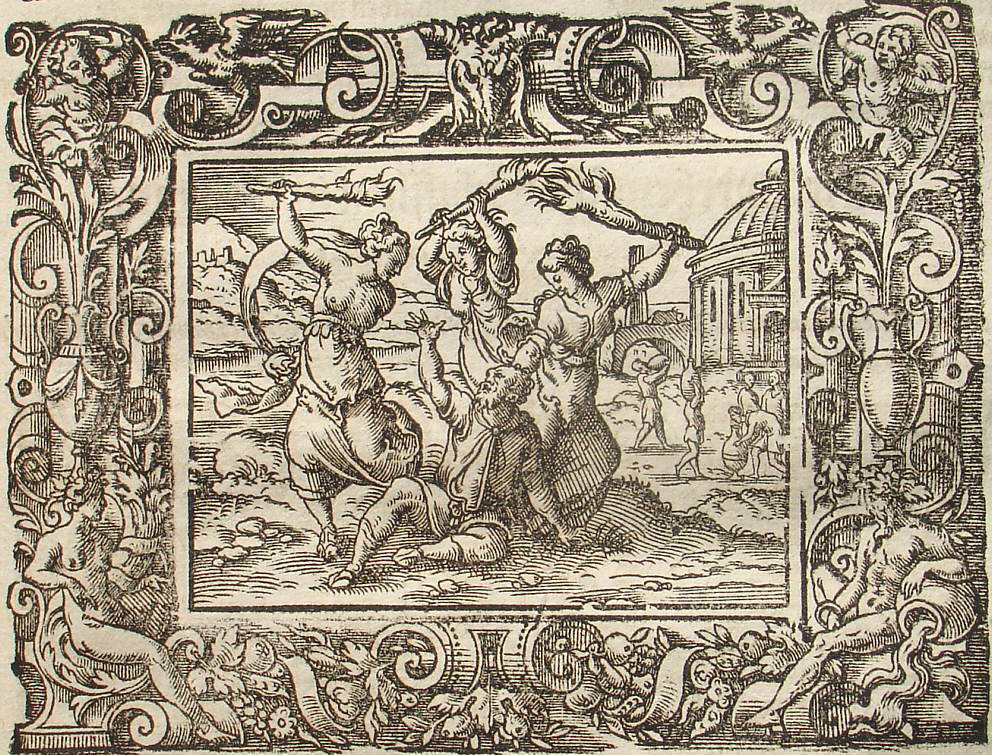 Ovid: Virgil Solis, Edition 1581, imago III.,9; Repro: Hans-J�rgen G�nther