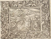 Ovidius: Virgil Solis, V.2: Rustici ranae fiunt.