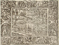 Ovidius: Virgil Solis, VII.10: Pestis Aeginae