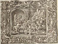 Ovidius: Virgil Solis, VII.8: Aconitum Cerberi