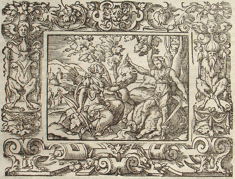 Ovid: Virgil Solis, Edition 1581, imago VIII.,8; Repro: Hans-Jrgen Gnther