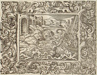 Ovidius: Virgil Solis, VIII.3: Mutatio Scyllae Nisique