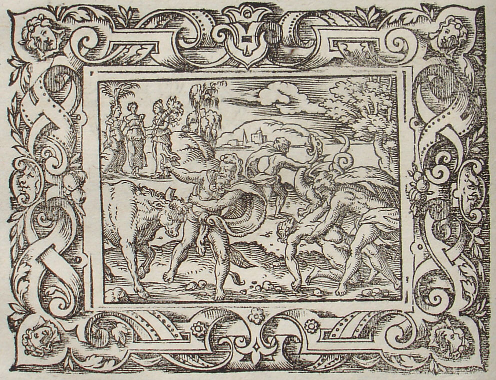 Ovid: Virgil Solis, Edition 1581, imago IX,1; Repro: Hans-Jrgen Gnther