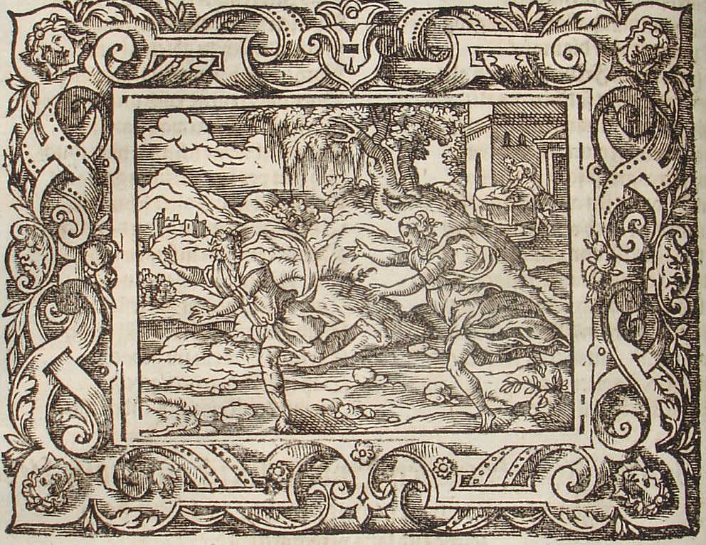 Ovid: Virgil Solis, Edition 1581, imago IX.,7; Repro: Hans-Jrgen Gnther