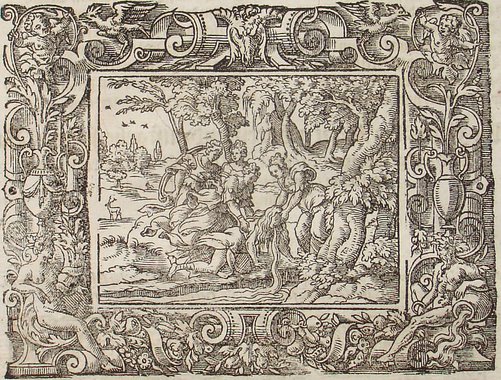 Ovid: Virgil Solis, Edition 1581, imago IX.,8; Repro: Hans-Jrgen Gnther