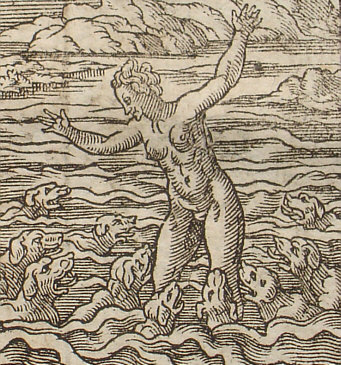 Scylla; Repro: Hans-Jrgen Gnther